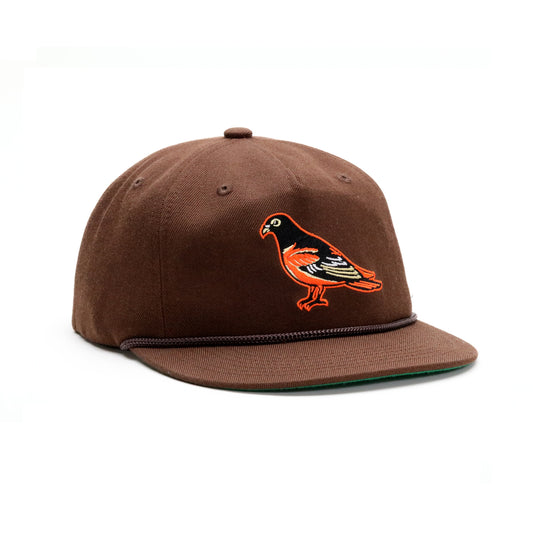 Pigeons- Brown