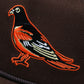 Pigeons- Brown
